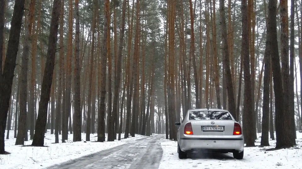 Skoda Superb 1.9 TDI AVB Бегемот 4