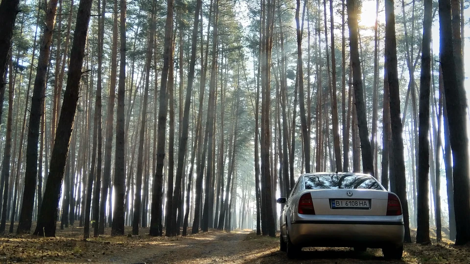 Skoda Superb 1.9 TDI AVB Бегемот 5