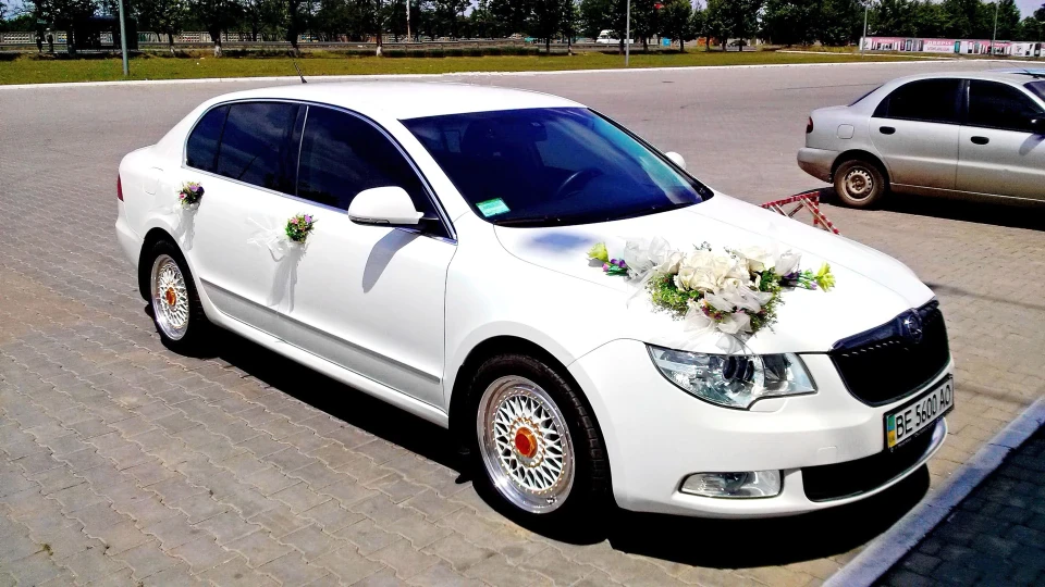 Skoda Superb Білий малюк ) 2