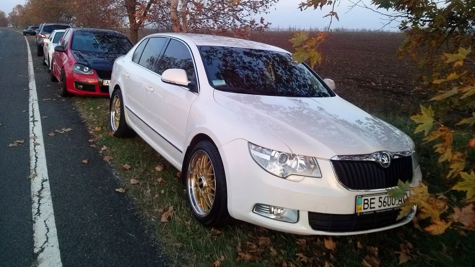 Skoda Superb Білий малюк ) 5