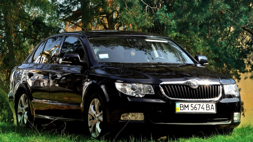Skoda Superb 🎠Black Friesian Horse🎠