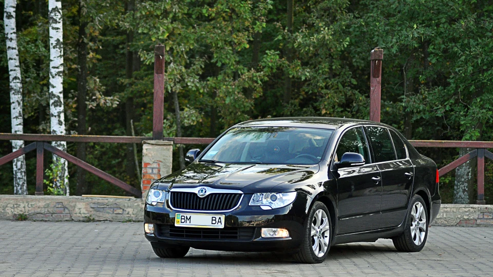 Skoda Superb 🎠Black Friesian Horse🎠 3