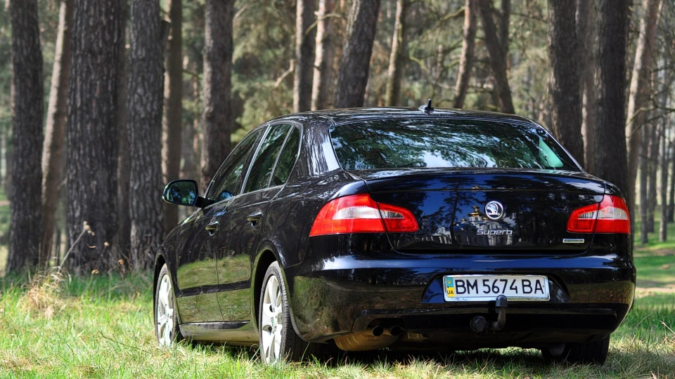 Skoda Superb 🎠Black Friesian Horse🎠 4