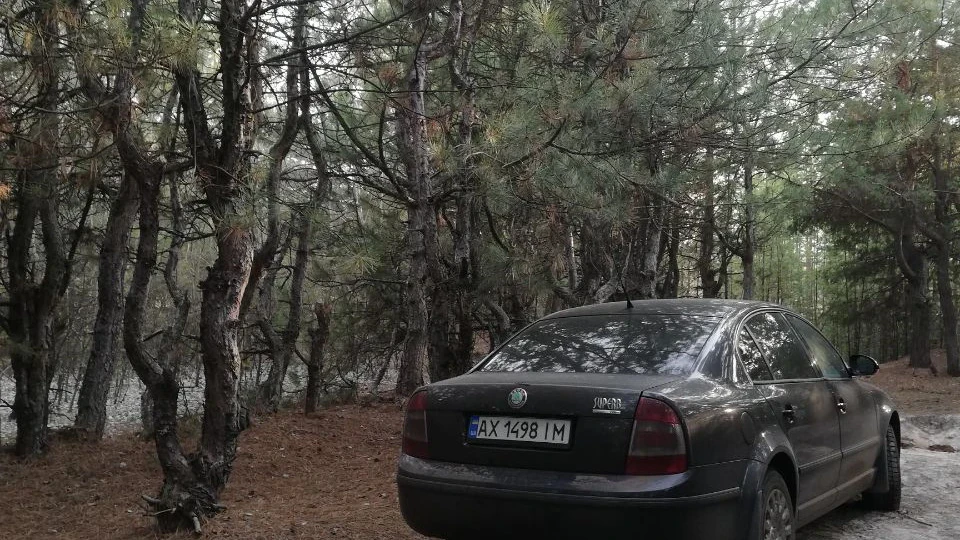 Skoda Superb Малятко 2
