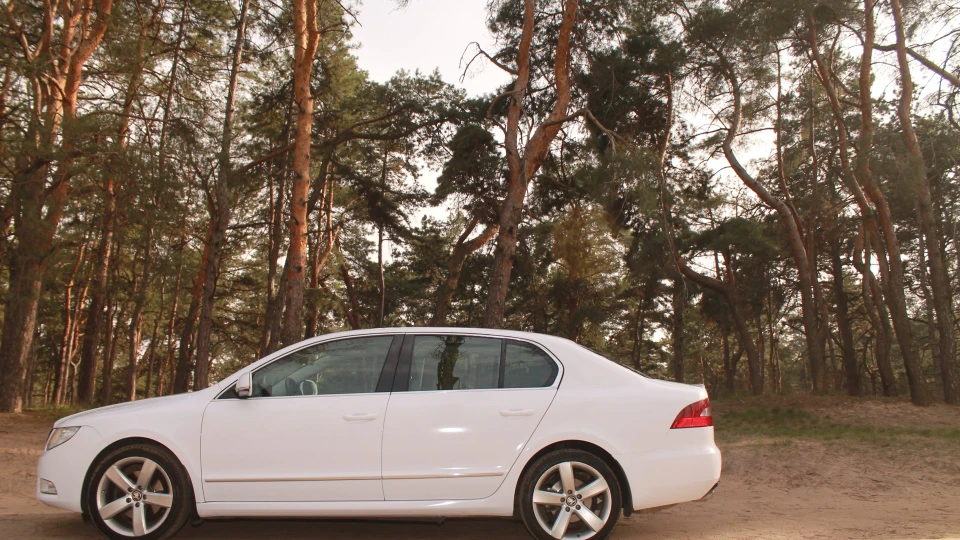 Skoda Superb Турбо Крокодил 2