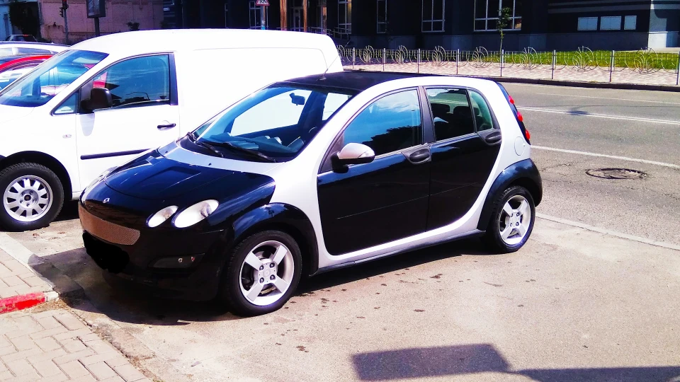 Smart forfour Дика собака дінго