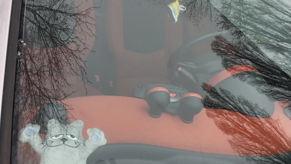 Smart fortwo 5