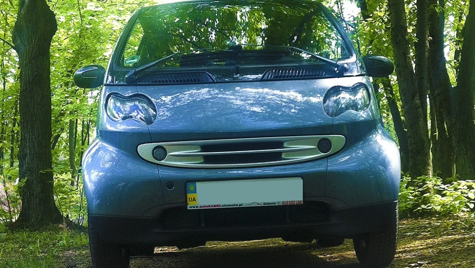 Smart fortwo 5