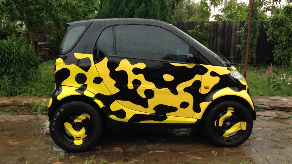 Smart fortwo Camogen 3