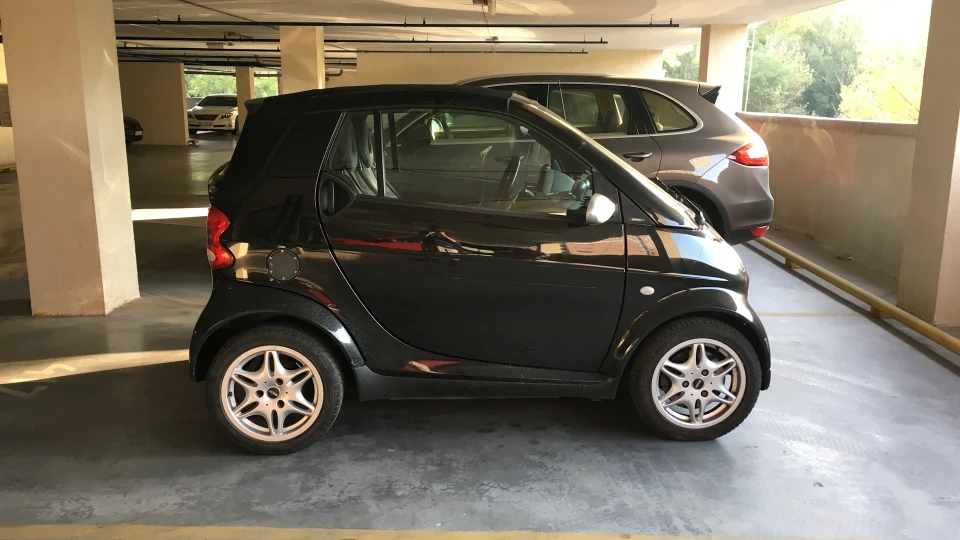 Smart fortwo Dart Smartus 2