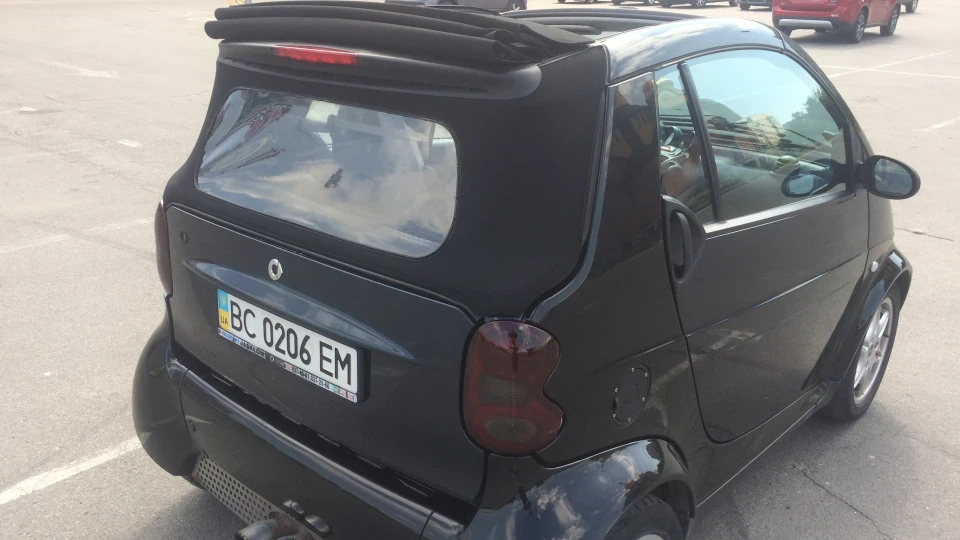Smart fortwo Кабанчик 5