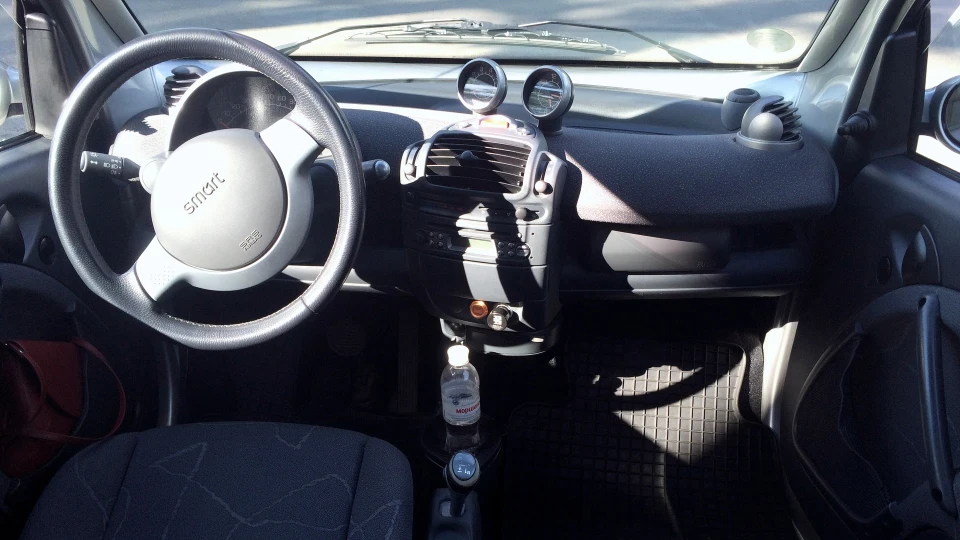 Smart fortwo Кабанчик 2