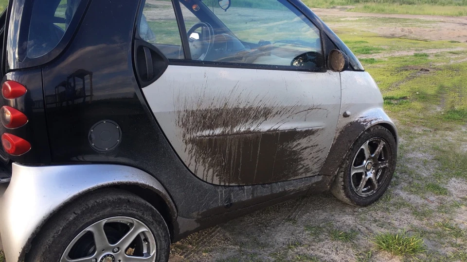 Smart fortwo Клоп / Вжик