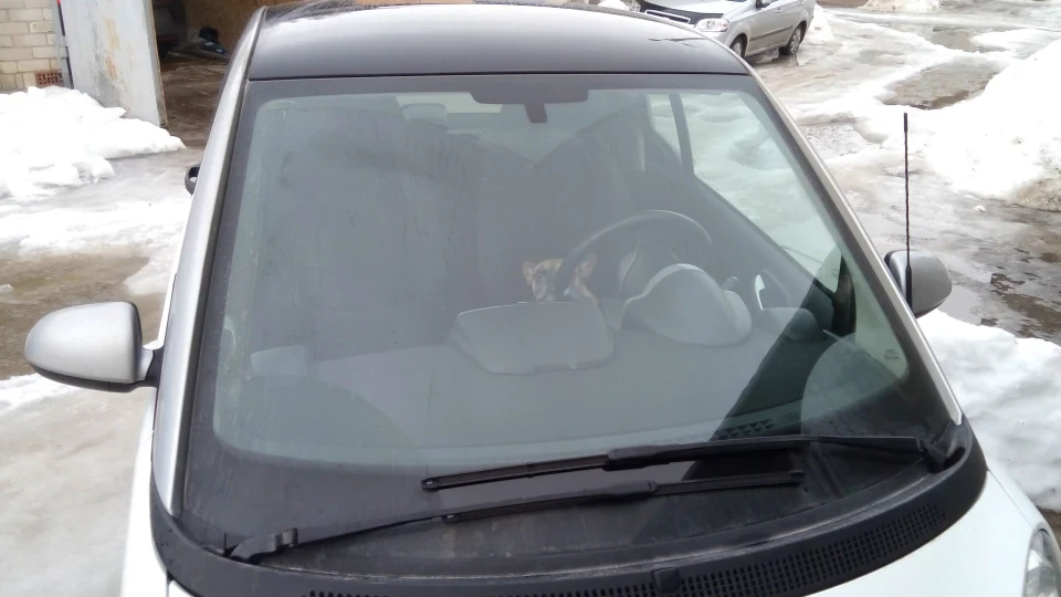 Smart fortwo Літровий passion