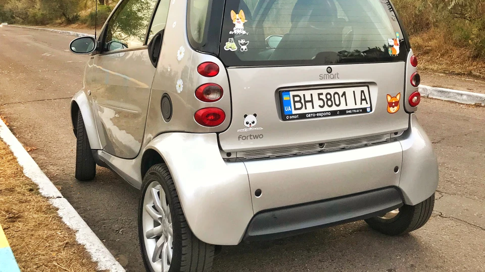 Smart fortwo Panorama