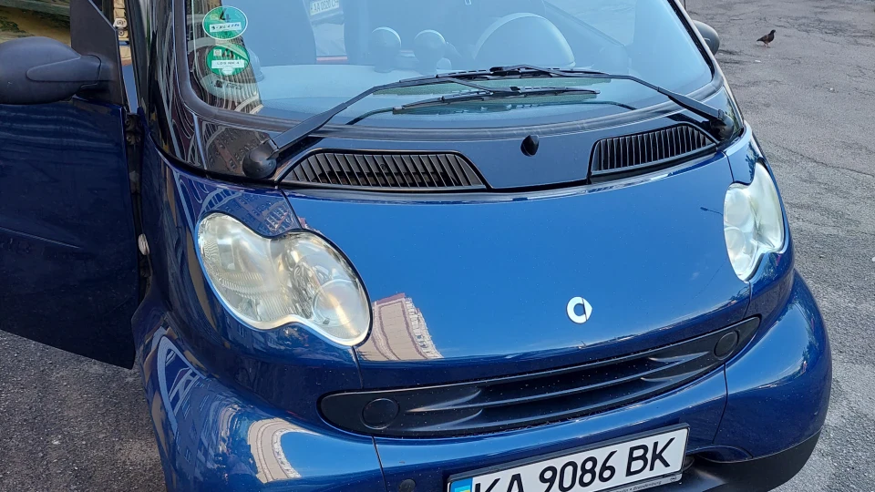 Smart fortwo Таракан