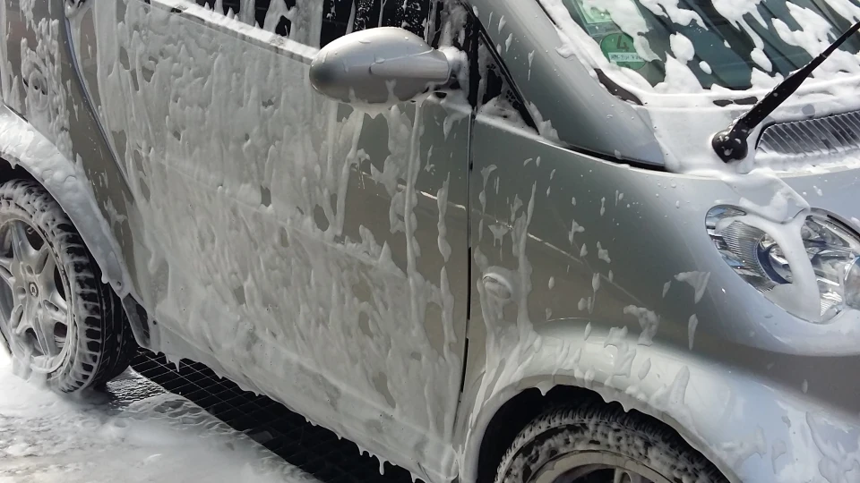 Smart fortwo Жорик 4