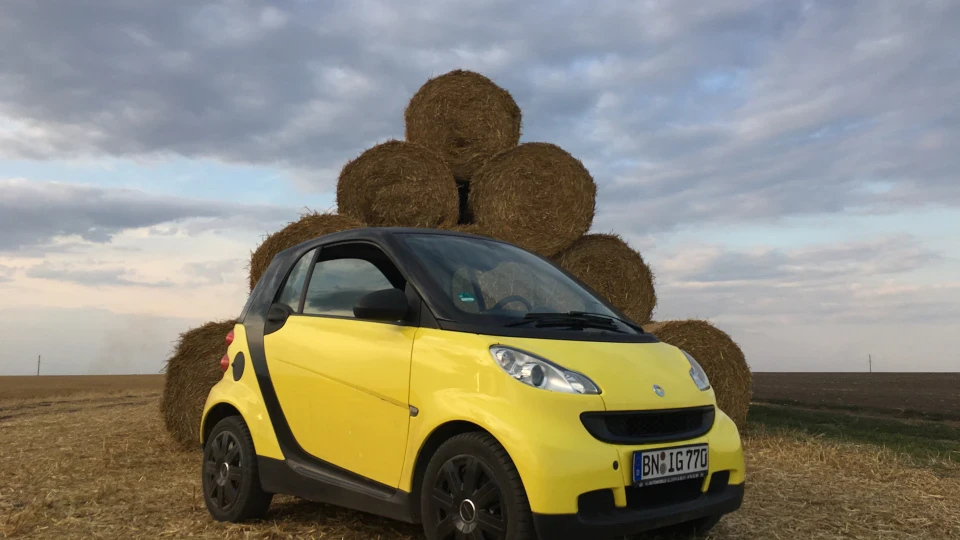 Smart fortwo Жовток 2