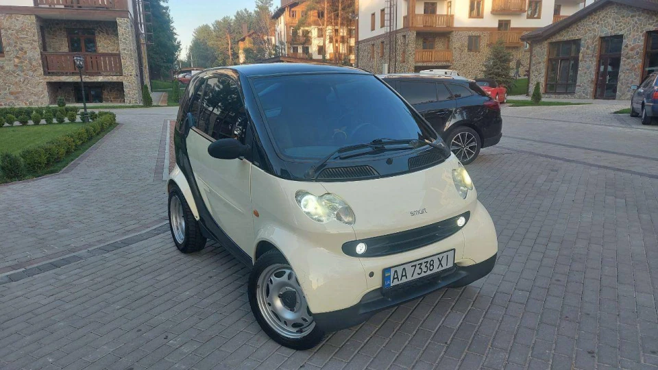 Smart fortwo ЖУЖА - БАНДИТКА