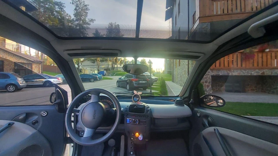 Smart fortwo ЖУЖА - БАНДИТКА 3