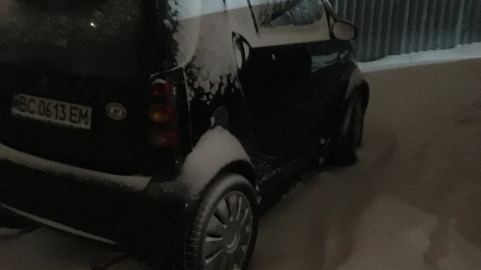 Smart fortwo Жужа 4