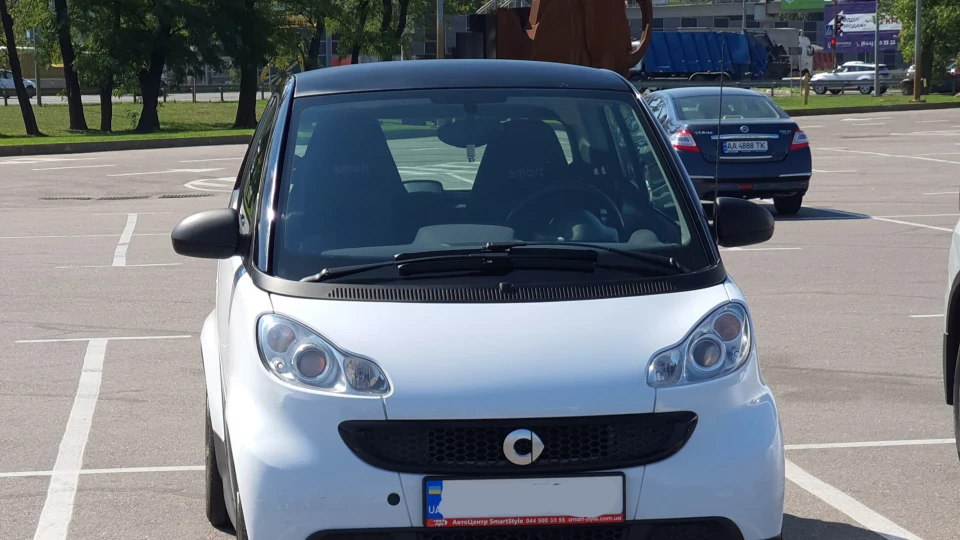 Smart fortwo Жужа