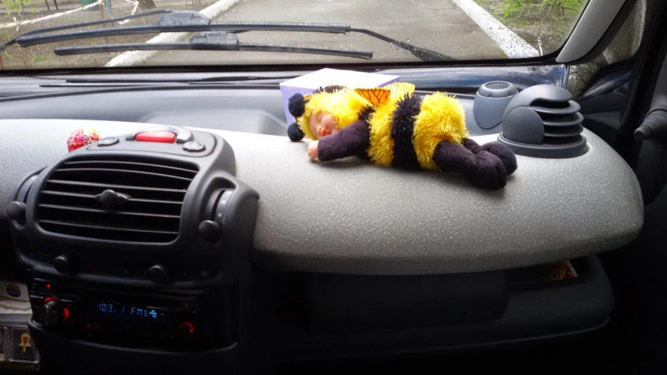 Smart fortwo Жужа 2
