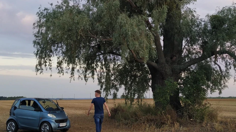 Smart fortwo Жужик
