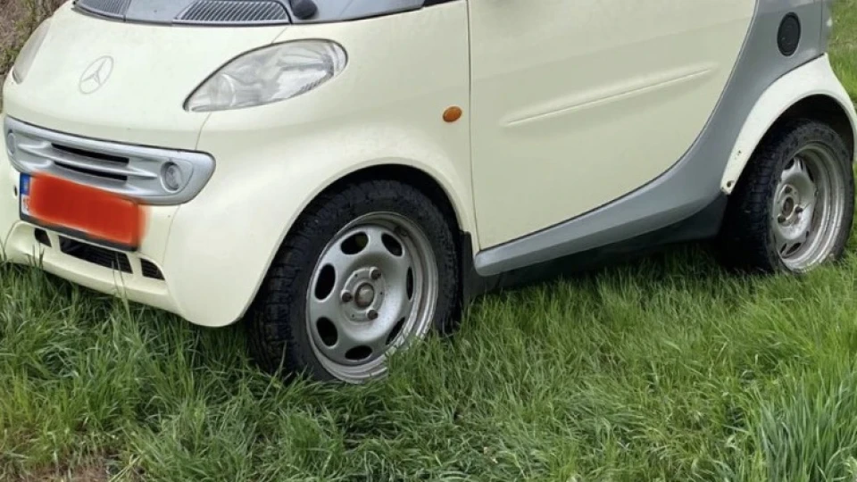 Smart fortwo Жужик