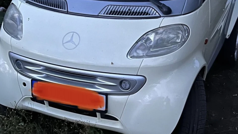 Smart fortwo Жужик 2