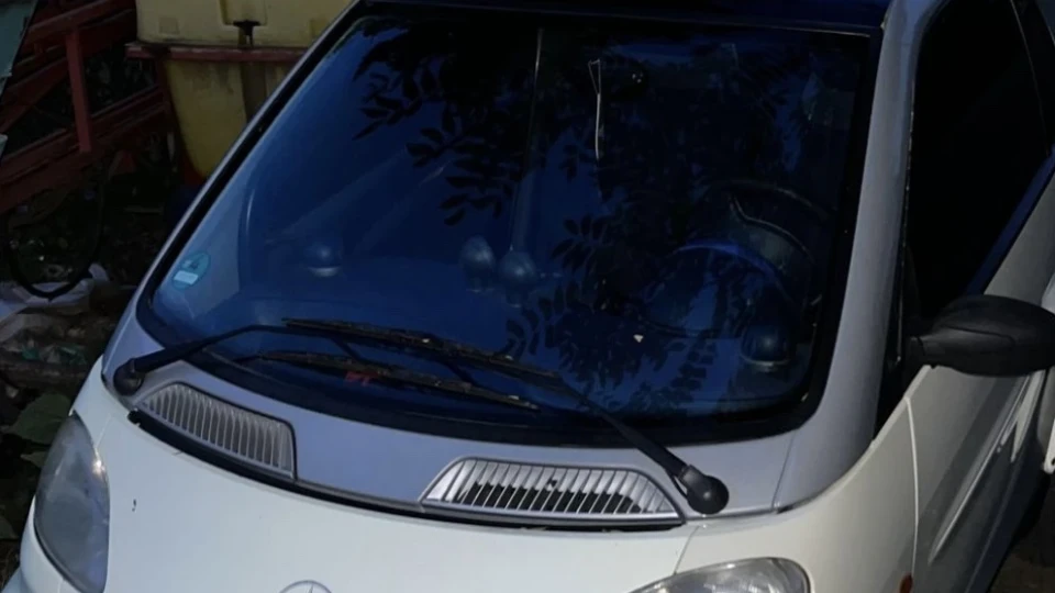 Smart fortwo Жужик 3