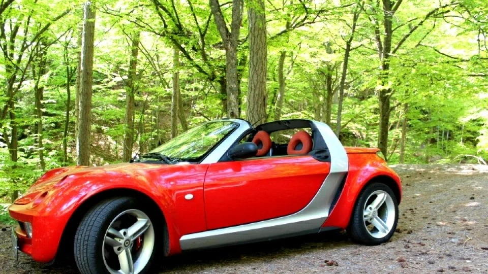Smart Roadster Малюк 5