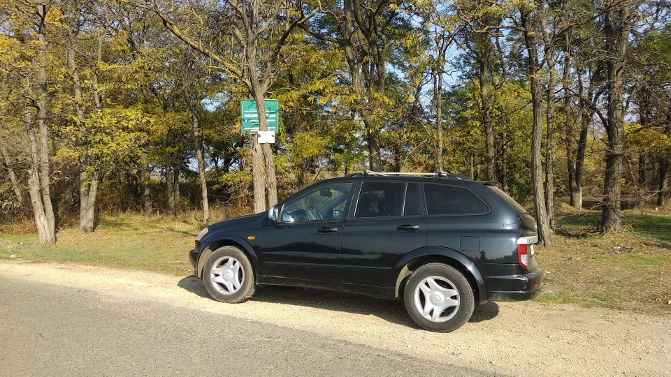 SsangYong Kyron