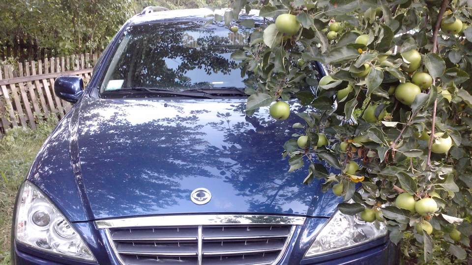 SsangYong Kyron 2.0 турбо