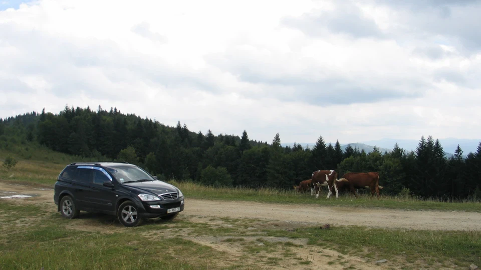 SsangYong Kyron Comfort 6