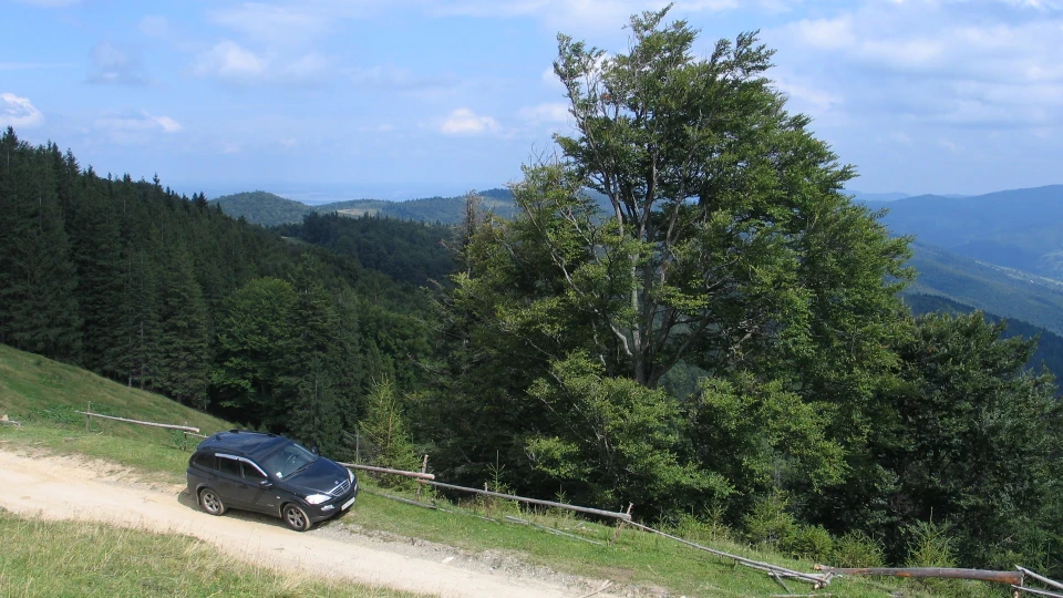 SsangYong Kyron Comfort 6 3