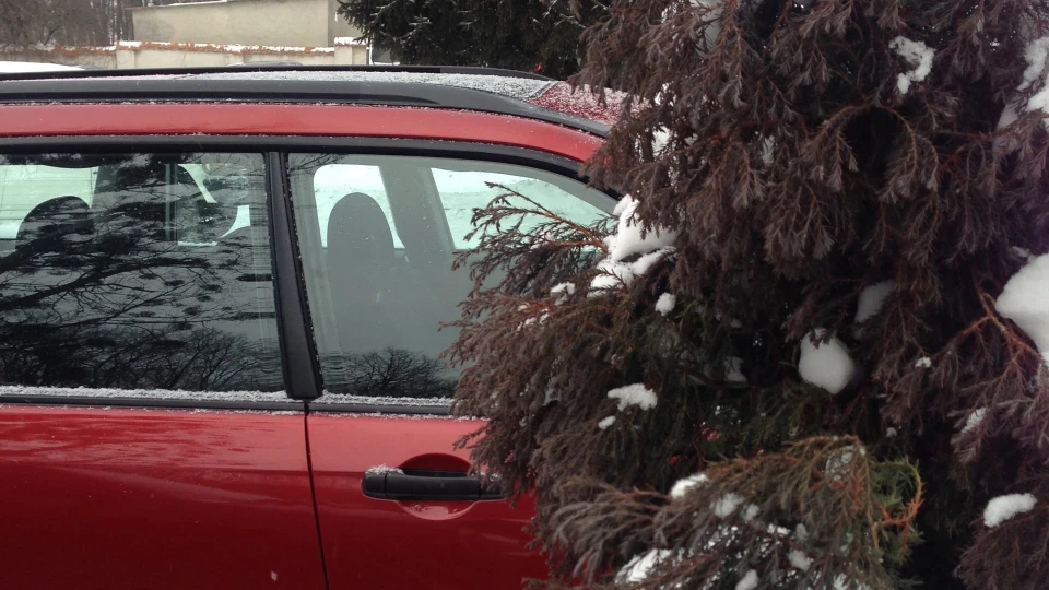 Subaru Forester 5