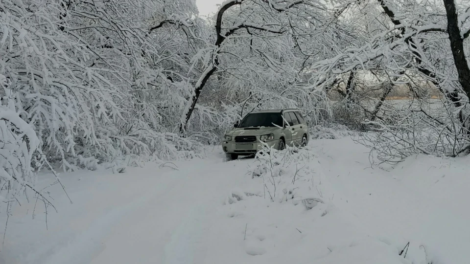 Subaru Forester 2.0 XT 4