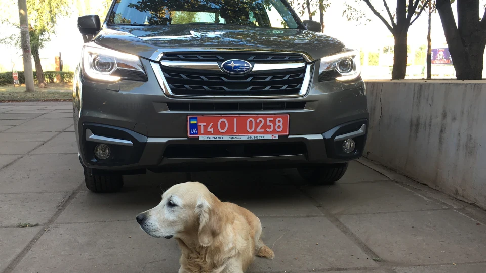 Subaru Forester 2.5 malovato_budet