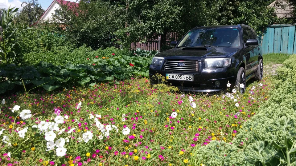 Subaru Forester 2.5 з равликом 5