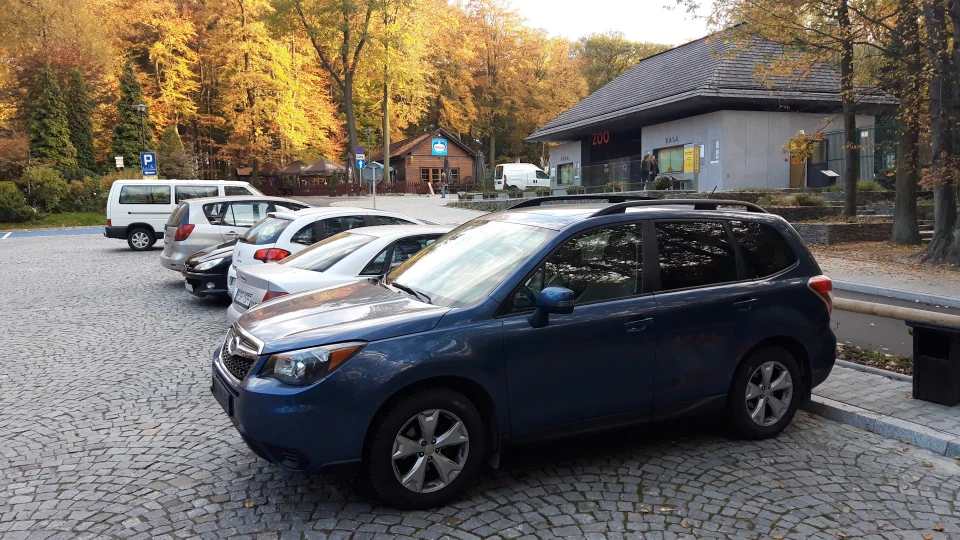 Subaru Forester 2.5 Синій Лісник 2