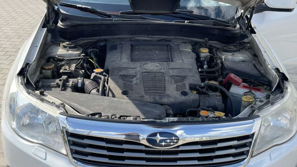 Subaru Forester 2,5 turbo White cat 🐈 2