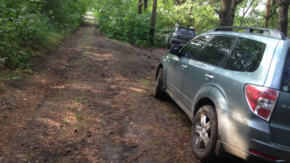Subaru Forester 2.5х Лісник 2