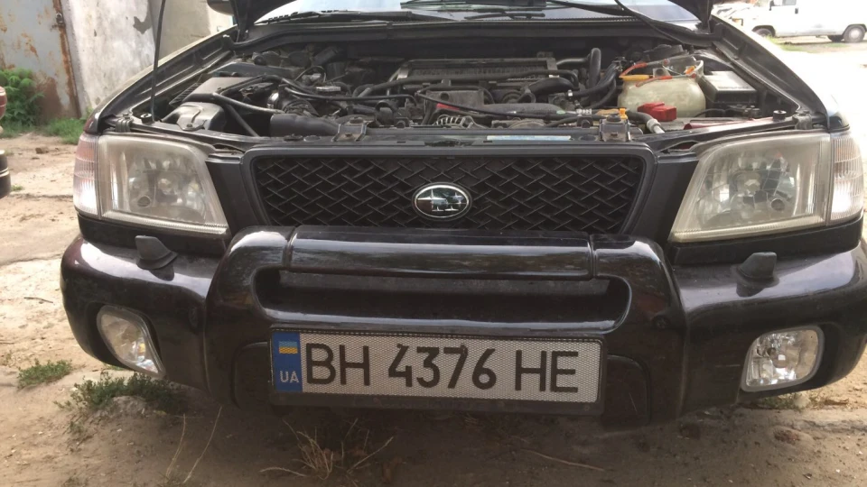 Subaru Forester angry bird 2,0