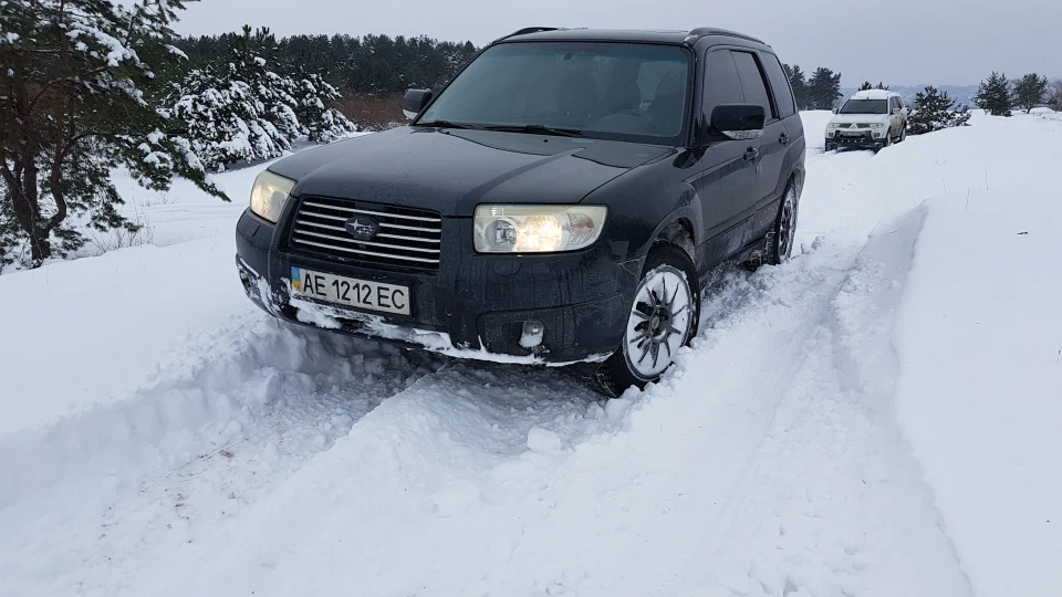 Subaru Forester Борзий Баклажан 3
