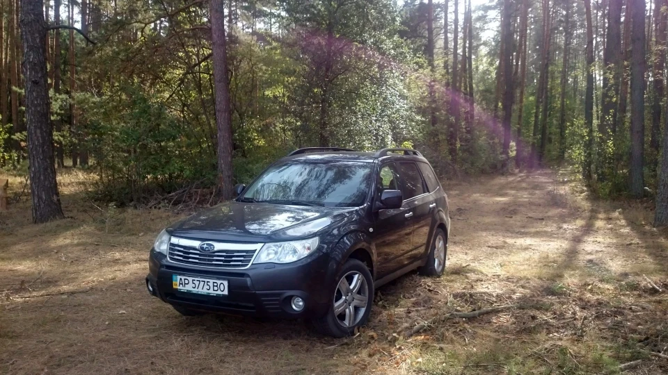 Subaru Forester Insolent Fellow 3