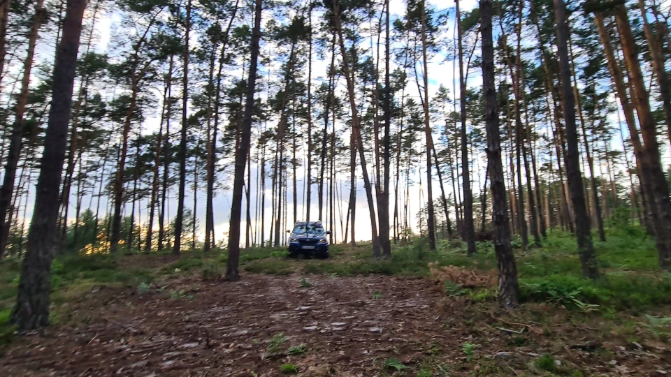 Subaru Forester Лісник 4