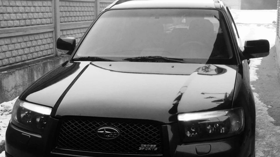 Subaru Forester улюбленець