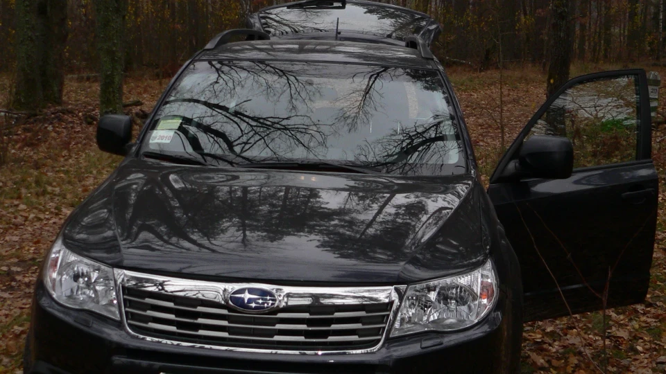 Subaru Forester Lyova 3