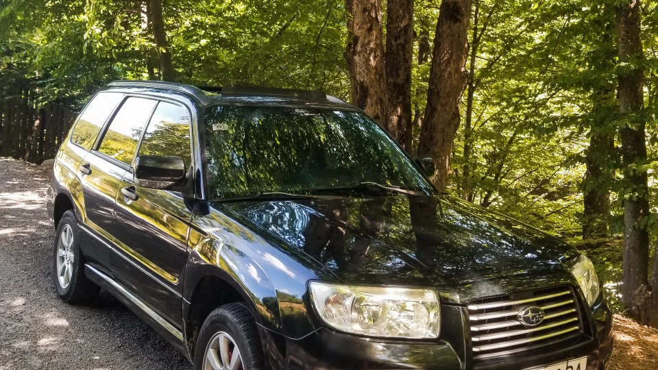 Subaru Forester 🌲місцевий🏕лесник🌲 5